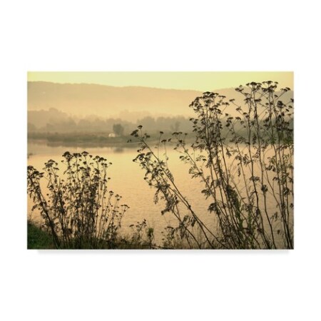 Trademark Fine Art Incredi 'Morning Pastels' Canvas Art, 16x24 ALI36127-C1624GG